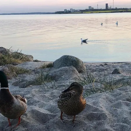Ostseecamp Luebecker Bucht Ostseekrabbe Mit Kostenfreier Saunanutzung Feriehus